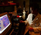 Dr. Jing Kang, from the Department of Medicine, Massachusetts General Hospital & Harvard Medical School sits in his lab March 29, 2006 in Boston, Massachusetts.