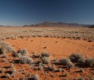 The Astonishing Science Behind the Desert's Mysterious Fairy Circles