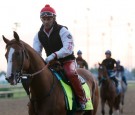 2014 Preakness