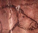 Detail of prehistoric cave art showing the head of a horse, from Lascaux, France. 