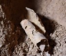 Archaeologists found 12th Dead sea scroll cave in Israel