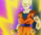 Dragon Ball Super Episode 80 Preview