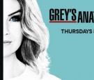 'Grey's Anatomy' Season 13