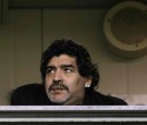 Maradona replaced by Metsu at Al Wasl