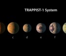 NASA Telescope Reveals Seven Earth-sized Planets Around Single Star