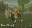 The Legend of Zelda: Breath of the Wild: How to Tame Horses in the Wild 