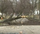 Windstorm knocks out power to 1 million customers in Michigan