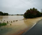 MARCH 08: Flooded paddocks are pictured near Clevedon on March 8, 2017 in Auckland, New Zealand. Northland received a month's worth of rain on Tuesday night. A severe thunderstorm watch has been issued for the region, with the chance of a small tornado hi