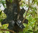 Topher White: What can save the rainforest? Your used cell phone