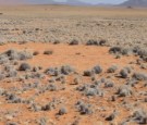 Fairy circles: A journey to solve the mystery