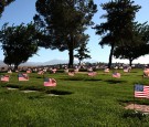 memorial day