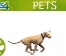 The Sims 4: Pets DLC Update