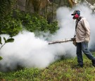 Zika could get worse this summer with stifling heat and plenty of wet breeding grounds for mosquitoes.