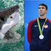 Michael Phelps fears nothing in the water. 