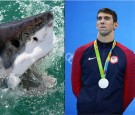 Michael Phelps fears nothing in the water. 