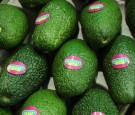 The workers sold the avocados for a lower price for money that they'd pocket illegally.