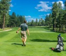 5 Tips on How to Become a Professional Golf Player