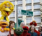 Some characters of the Sesame Streets