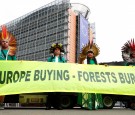 Amazon deforestation protests 