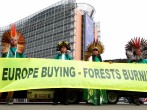 Amazon deforestation protests 