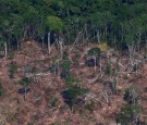 Brazil Needs More Financial Support to Pursue Environmental Protection Efforts