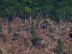 Brazil Needs More Financial Support to Pursue Environmental Protection Efforts