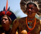 Indigenous Groups Team Up to Protect Latin America's Forests