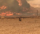 Environmental Effects of Australia Wildfire Will Linger for Years to Come