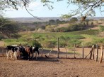 Years of Colonial Rule Lead to an Increase in Tourism in the Dominican Republic