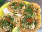 Tacos de Sesos