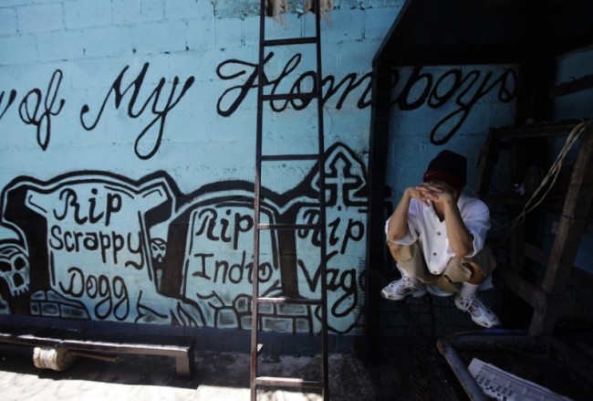 A member of the ‘Calle 18’ street gang covers his face while squatting next to a wall covered with graffiti in memory of their late members, at the prison in San Pedro Sula, Honduras, on May 28, 2013