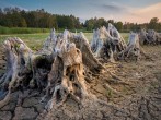 Mexico Declares Emergency Due To Severe Drought