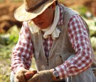 Mexican Farmer