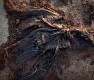 A bird carcass is pictured covered with oil from the Deepwater Horizon oil spill on a beach in Grand Terre Island