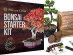 Bonsai starter kits