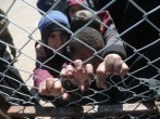 Children look through a chain linked fence