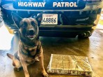 K-9 Beny, California Highway Patrol