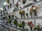 Flowers on graves