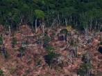 A deforested and burnt plot is seen in Jamanxim National Forest in the Amazon, near Novo Progresso, Para state, Brazil September 11, 2019.