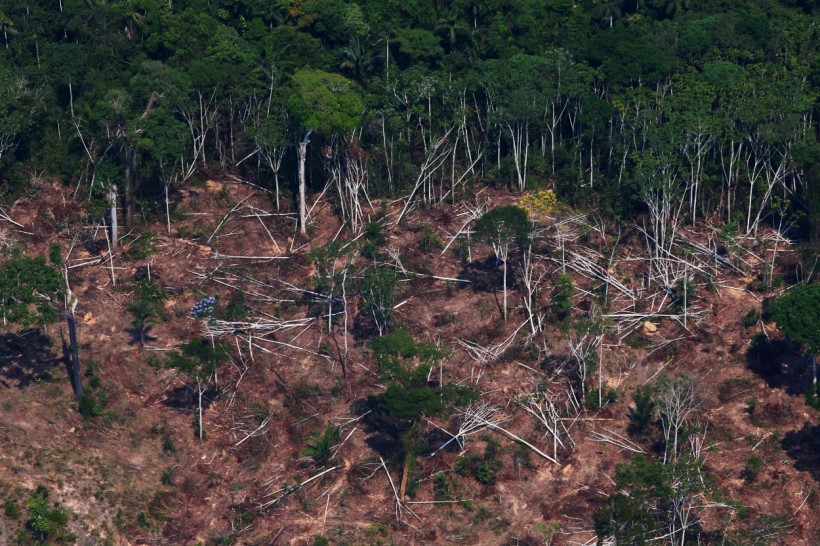 A deforested and burnt plot is seen in Jamanxim National Forest in the Amazon, near Novo Progresso, Para state, Brazil September 11, 2019.