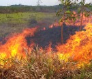 A small fire burns by the side of the road between Porto Velho and Humaita in Brazil's Amazonas state, September 5, 2019. 