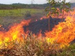 A small fire burns by the side of the road between Porto Velho and Humaita in Brazil's Amazonas state, September 5, 2019. 