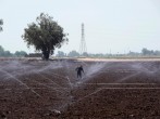A farmworker works on farmland irrigated by sprinklers as the coronavirus disease (COVID-19) continues to spread in this photo taken in El Centro, California, US.