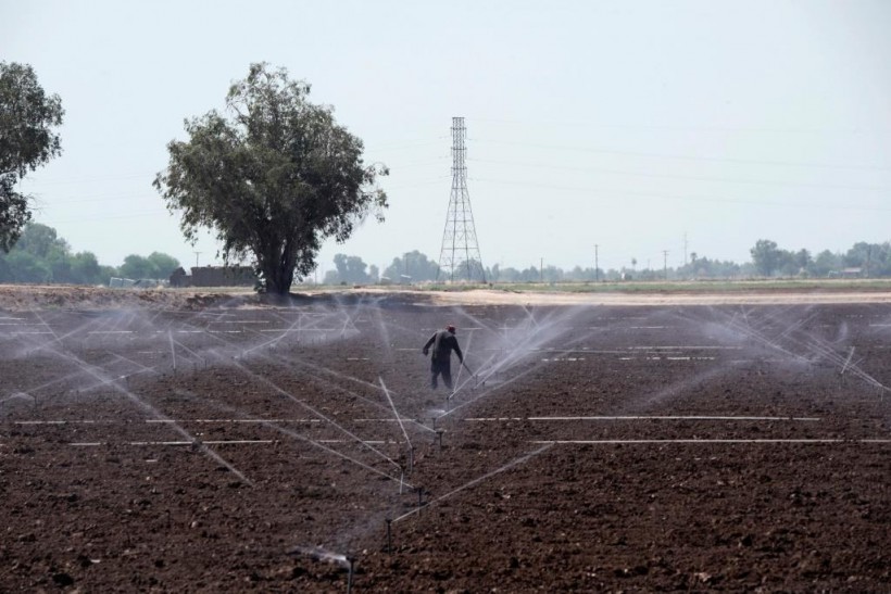 A farmworker works on farmland irrigated by sprinklers as the coronavirus disease (COVID-19) continues to spread in this photo taken in El Centro, California, US.
