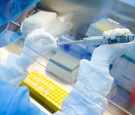 Scientists develop a vaccine against the coronavirus disease in Saint Petersburg