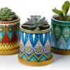 Greenaholics Succulent Plant Pots - 3 Inch Mandalas Pattern Cylinder Ceramic Planter for Cactus, with Drainage Hole, Bamboo Trays, Idea, Set of 3