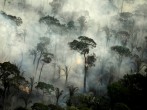 Fires in the Amazon