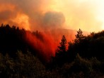 LNU Lightning Complex Fire Burns In Napa County