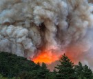 Gender Reveal Party Causes Wildfire in El Dorado, California