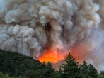 Gender Reveal Party Causes Wildfire in El Dorado, California